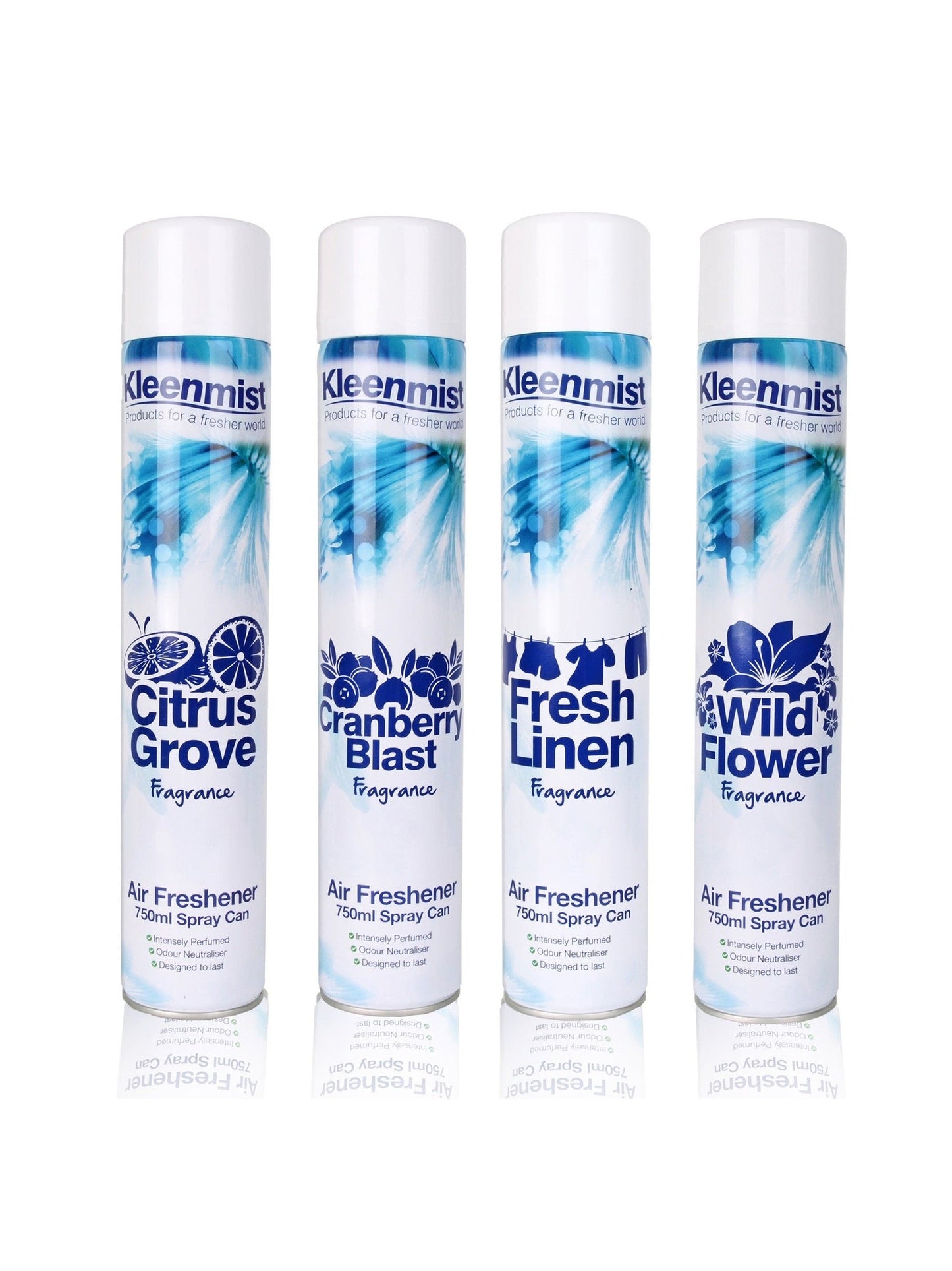 Giant Kleenmist Aerosol