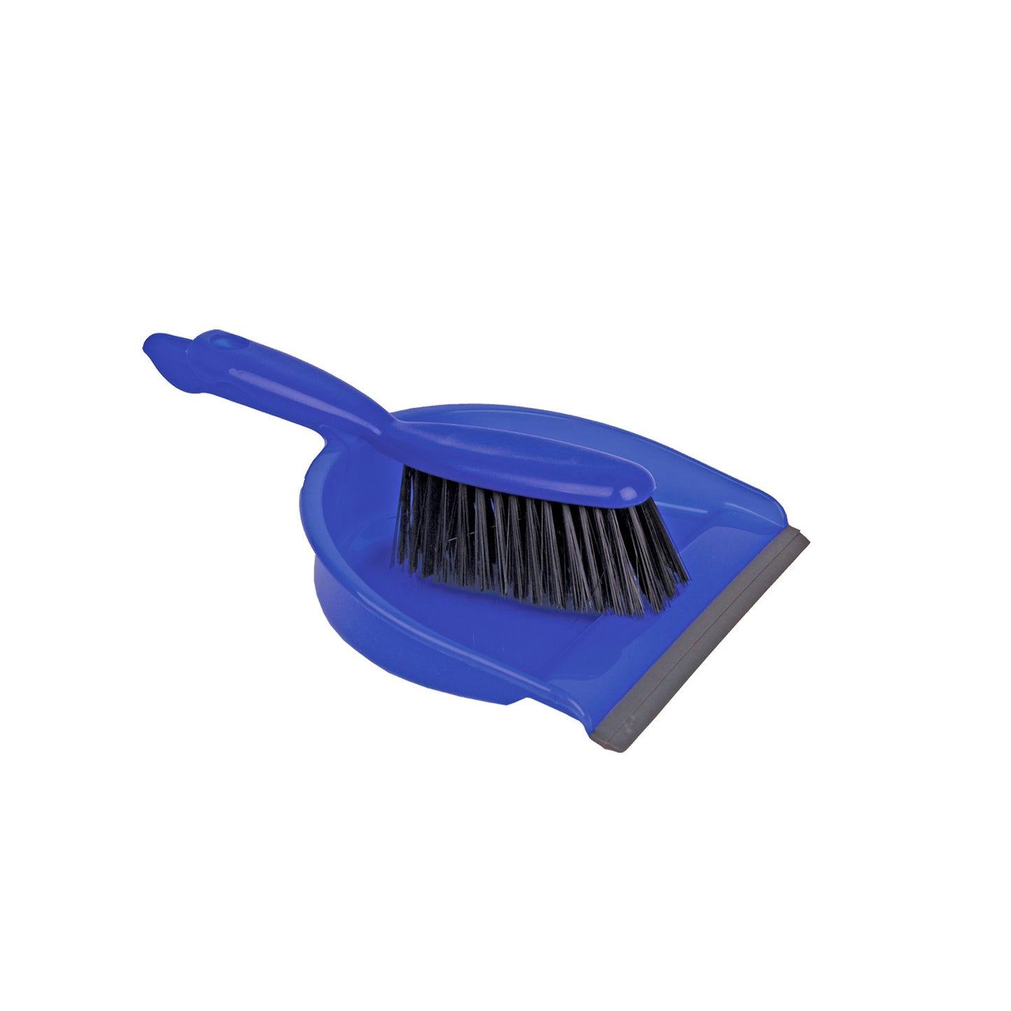 Professional Dustpan & Brush Set Stiff