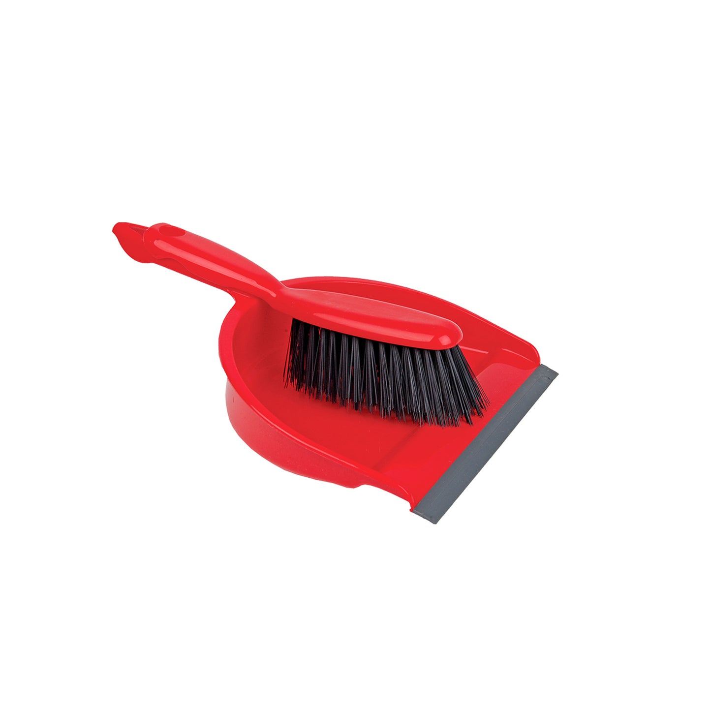 Professional Dustpan & Brush Set Stiff