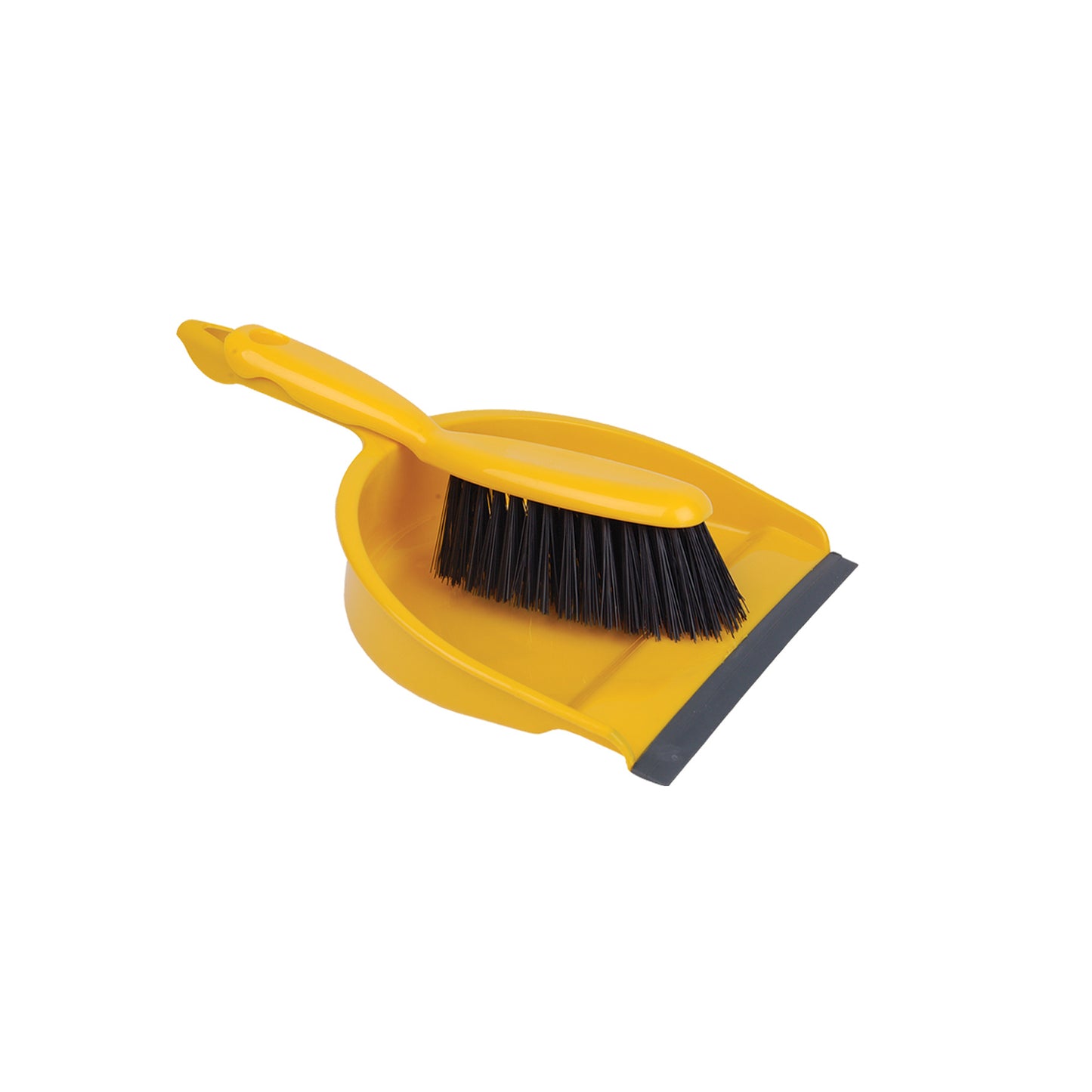 Professional Dustpan & Brush Set Stiff