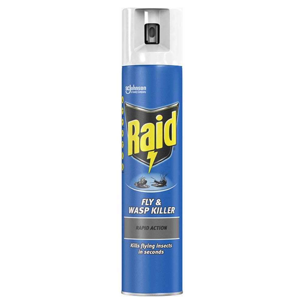 Raid Fly & Wasp Killer - 300 ml