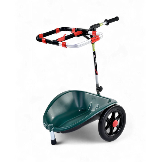 Handi Cart DUO – Dual Recycling Cart