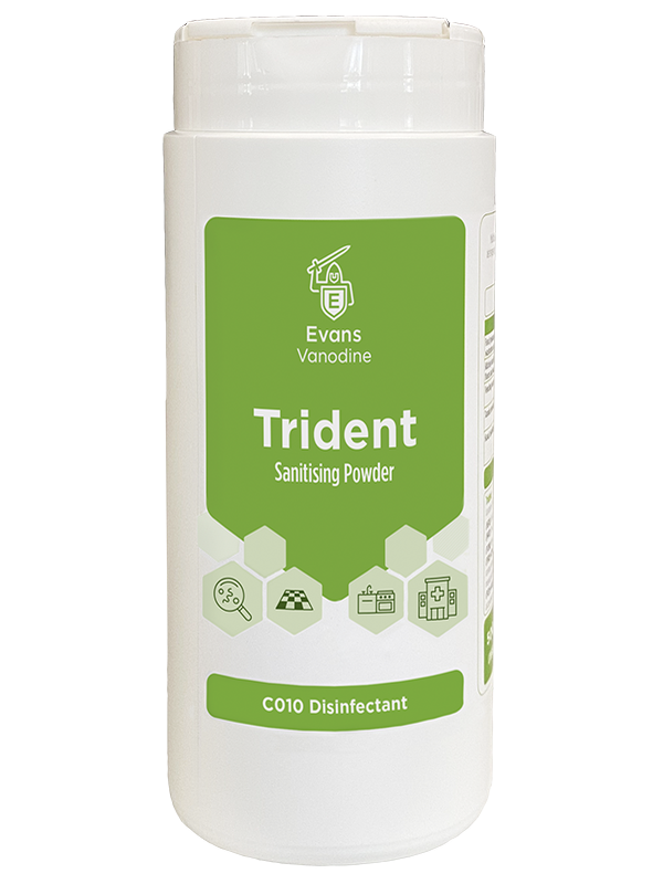 Trident - 500 gm