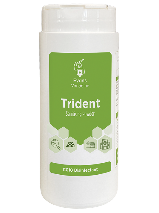 Trident - 500 gm
