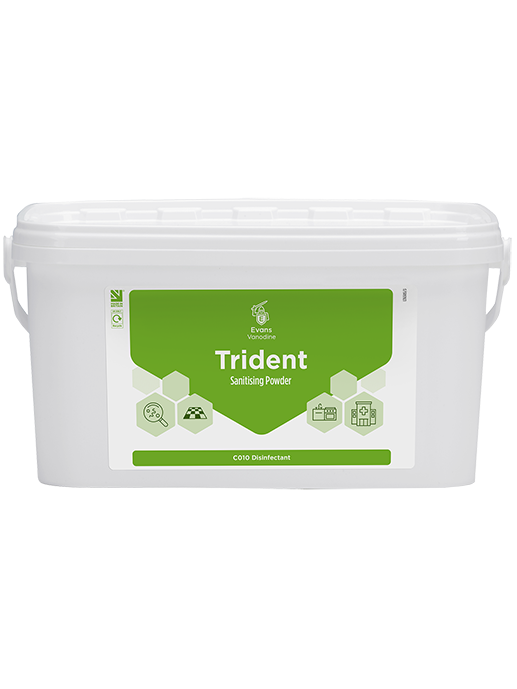 Trident - 5 kg